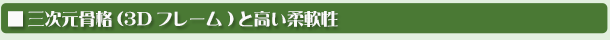 三次元骨格(3Dフレーム)と高い柔軟性